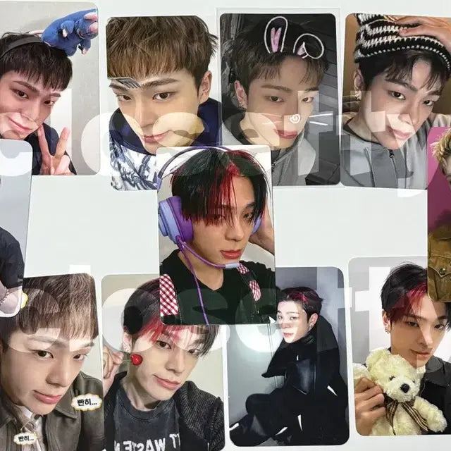 (포카추가)전이정 이정 김준민 준민 문원준 원준 휘브 보플 미공포