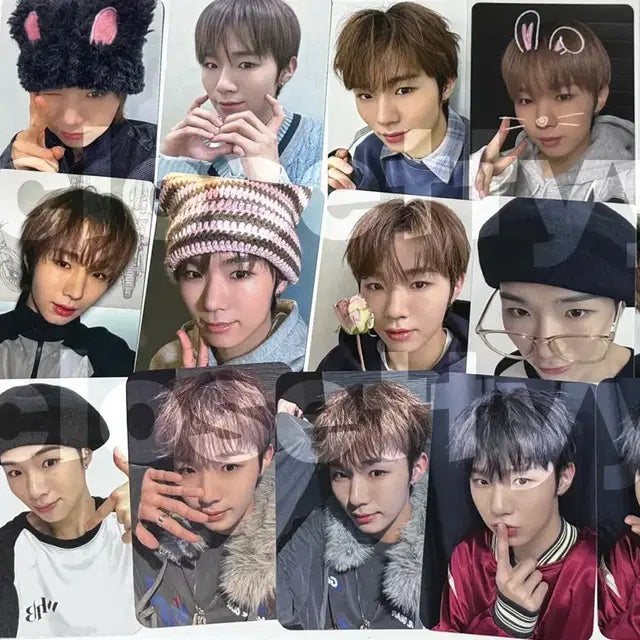 (포카추가)전이정 이정 김준민 준민 문원준 원준 휘브 보플 미공포