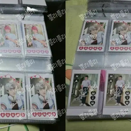 플레이브 공식포카 모음