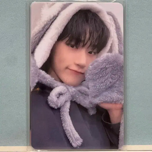 ATEEZ San HALAZIA Makestar Grey bunny