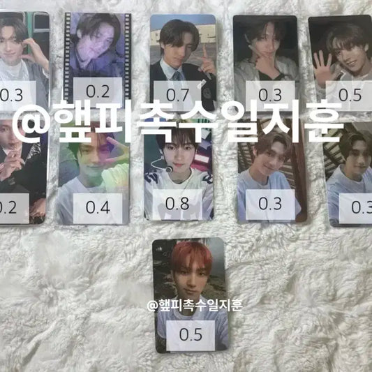 투어스 영재 포카양도