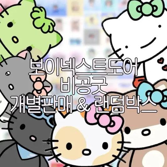 보이넥스트도어 비공굿 개별판매 랜박