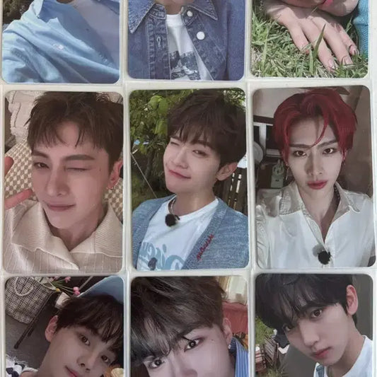 제베원 팬클럽2기 키트 포카 판매