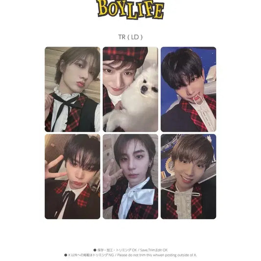 보넥도 boylife 럭드 분철 성호리우명재현태산이한운학