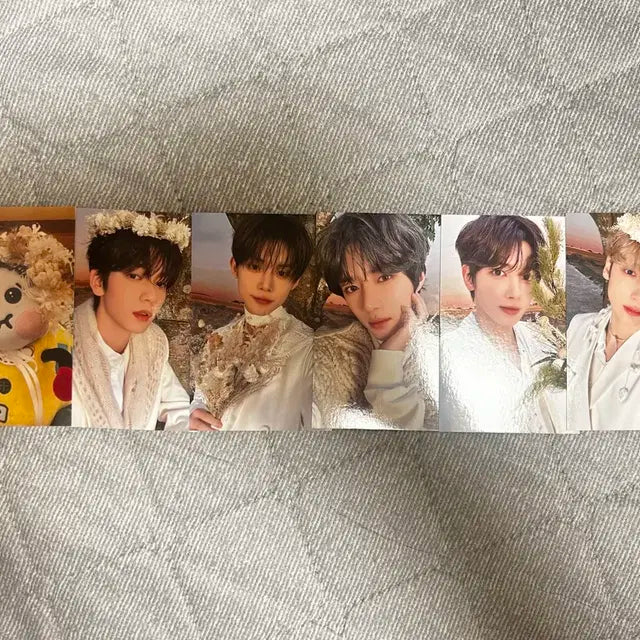 급처) 프미콘 모아존