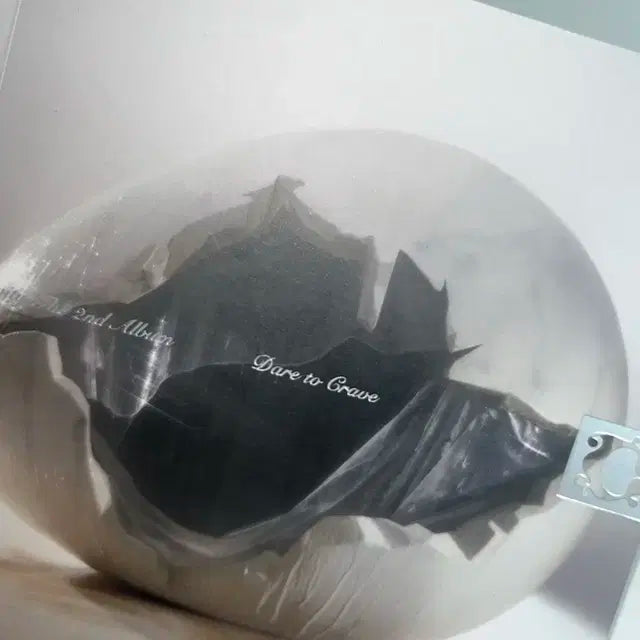 크래비티 앨범