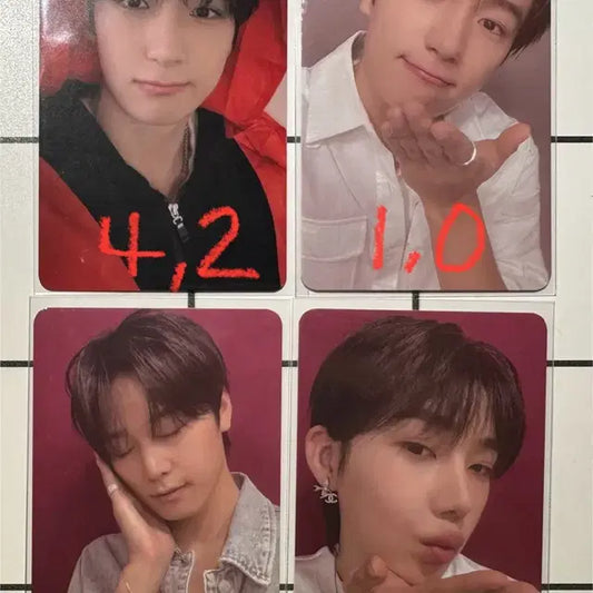 더보이즈 에버라인 빨간망토 프롬포카 포카양도