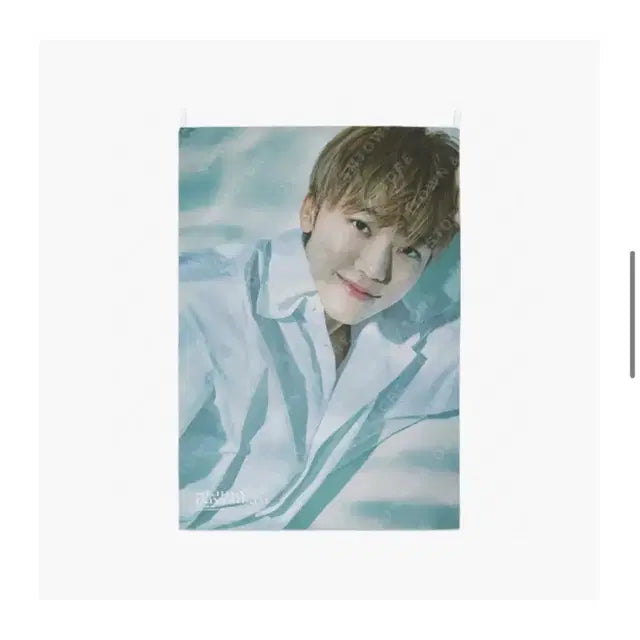 엔시티 드림 스테리데이드림 패브릭 포스터 재민