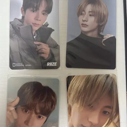 라이즈 굿즈 팔아여