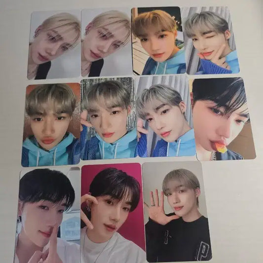 더보이즈 뉴 공식포카 일괄