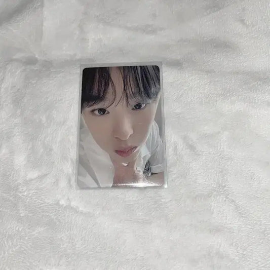 엔시티위시 리쿠 송버드 특전 양도