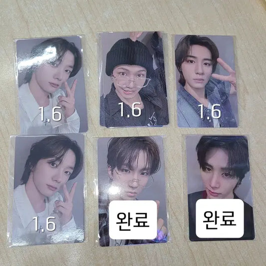 보넥도 롤라팔루자 라이브 미공포 양도합니다 성호 명재현 태산 이한 운학