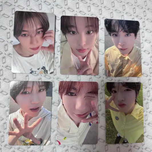 (일괄) 엔시티 위시 팝팝 디마뮤 럭드 디어마이뮤즈