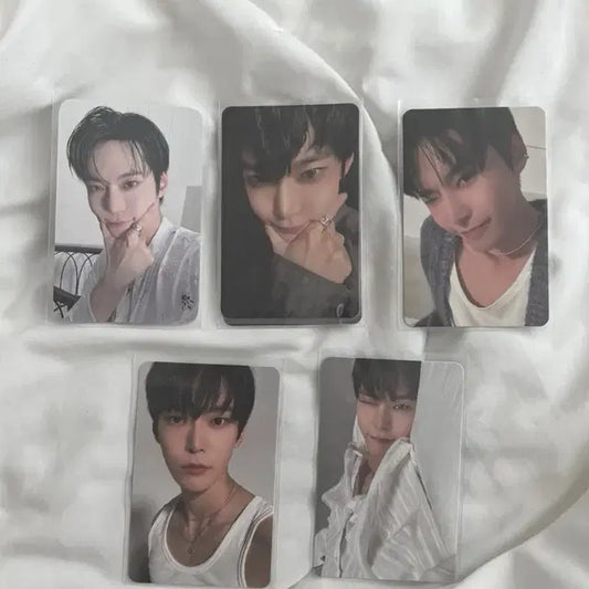 엔시티127 도영 포카
