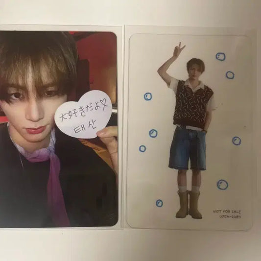 보이라이프 개인반 태산 양도