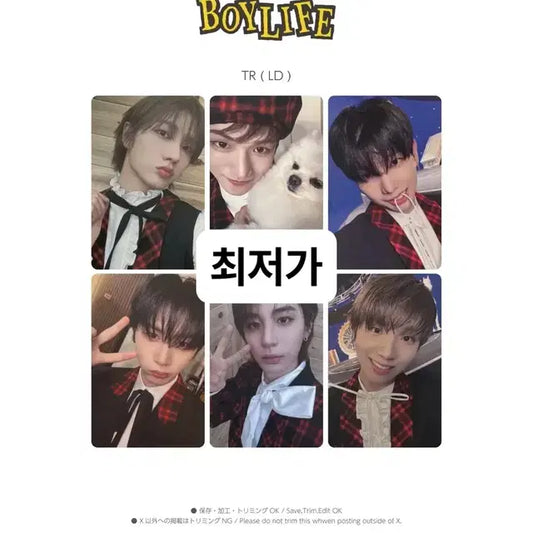 보넥도 boylife 럭드 분철 성호리우명재현태산이한운학