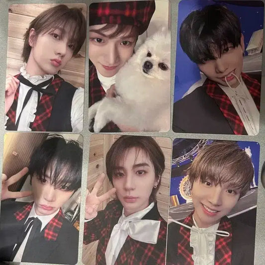 보넥도 boylife 타워레코드 럭드 분철 성호리우재현태산이한운학