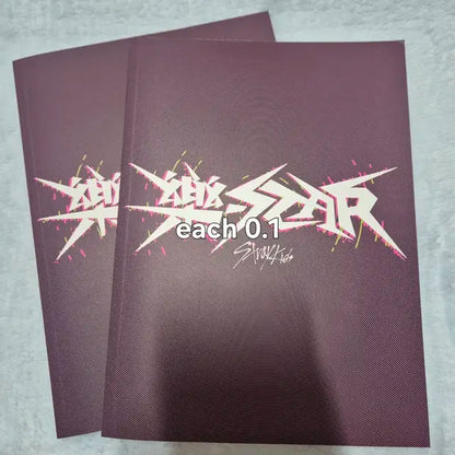 스트레이키즈 한정판 앨범 양도