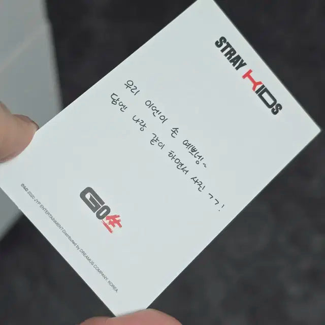 스트레이키즈 스키즈 고생 아이엔 양정인