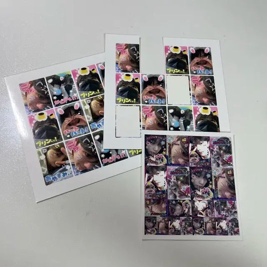 콩딱즈 제베원 프리쿠라 양도