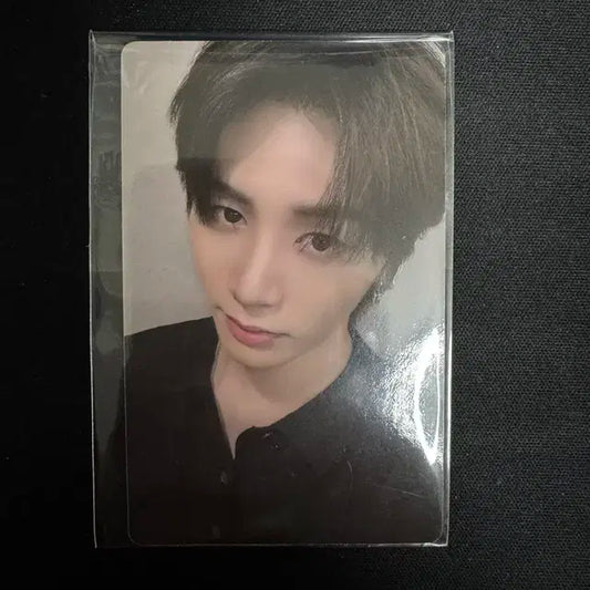 보넥도 롤라팔루자 특전 태산 양도