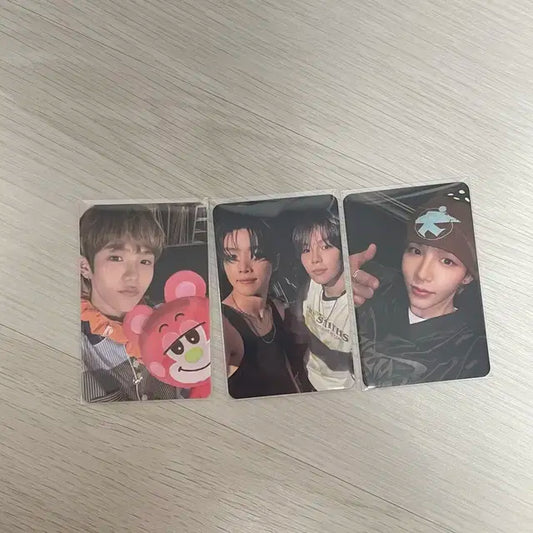 쇼타로 성쇼 포카 판매 가격 맞춰드려요