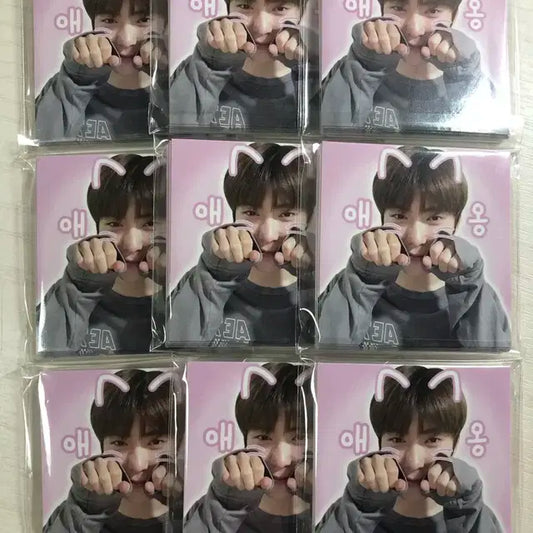 2+1 ) 엔시티 재현 판스, 비공굿 + 덤으로 공굿포카