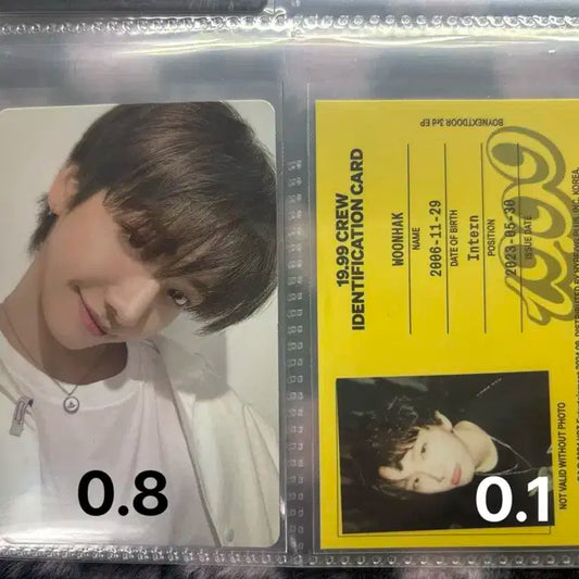 보넥도 19.99 포카 팔아요