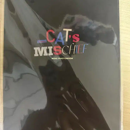 태산 생카 cat's mischief 선착 특전 포토북
