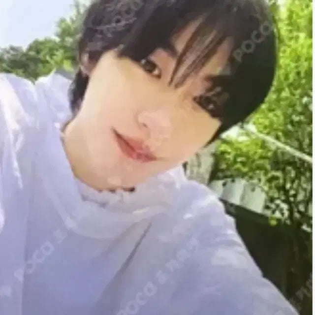 라이즈 앤톤 겟어기타 앨포 포카 포토카드 양도