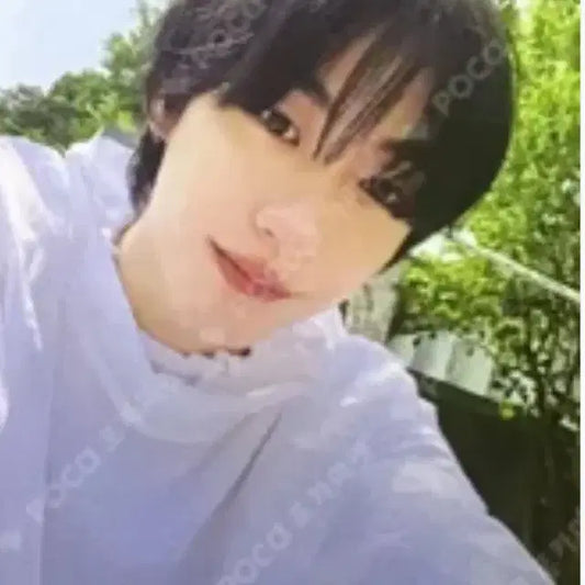 라이즈 앤톤 겟어기타 앨포 포카 포토카드 양도
