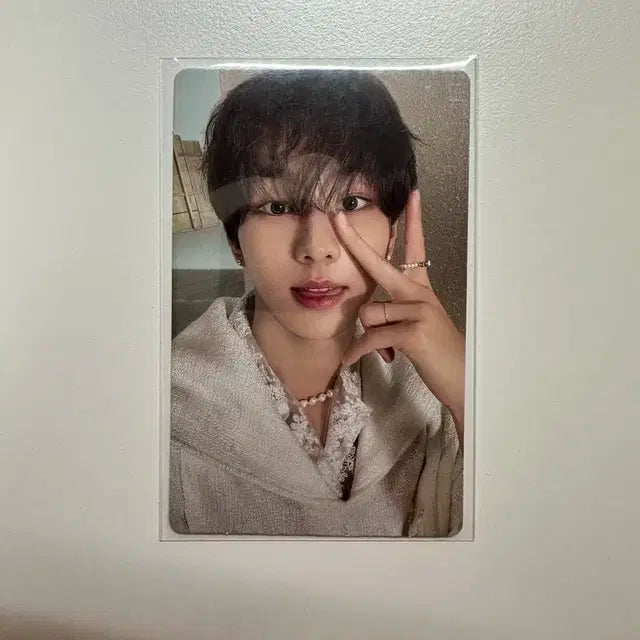 엔하이픈 정원 양정원 오렌지블러드 칼파 포카 양도