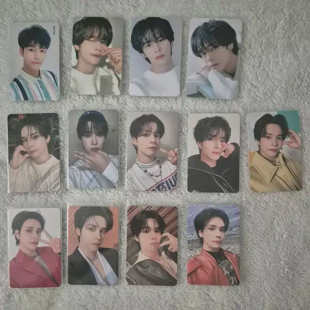 크래비티 포카 양도 세림 앨런 정모 우빈 원진 민희 형준 태영 성민