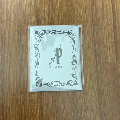 플레이브 데쉬 포카백 양도