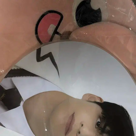 데이식스 웰쇼콘 벚꽃콘 우치와 피캣 커버 필끼 원필 부채