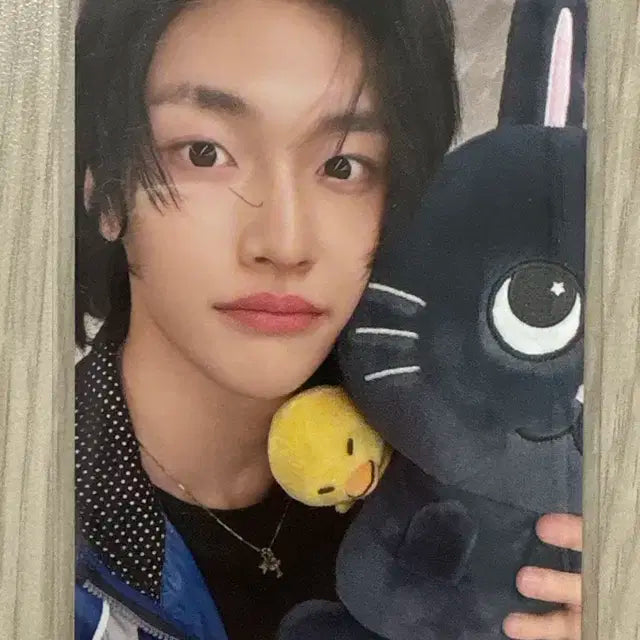 원빈포카 (라이징데이)