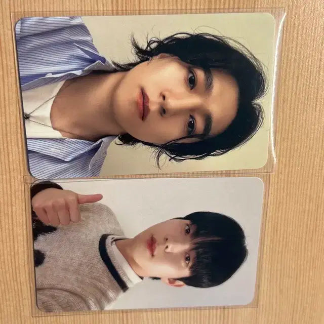 성진 도운 포토카드