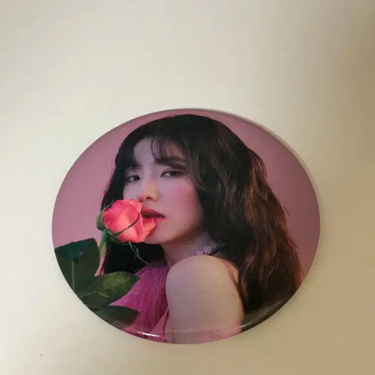 레드벨벳 아이린 거울