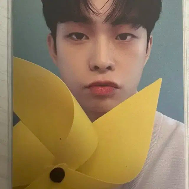 바람개비 상엽 루시 최상엽 포토카드 양도합니다