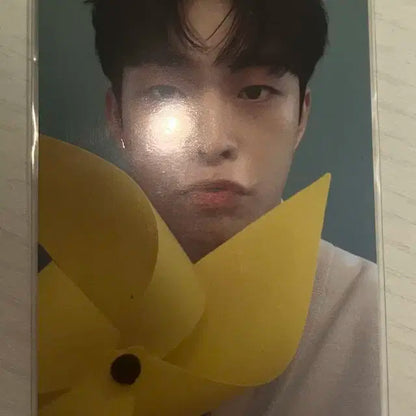 바람개비 상엽 루시 최상엽 포토카드 양도합니다