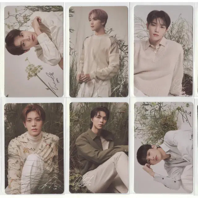 엔시티 시카의정원 포카세트