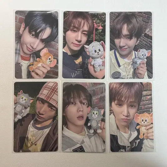 현물ㅇ 보넥도 보이라이프 카투럽 hmv 럭드 일괄 6장 세트