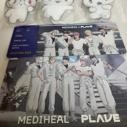 플레이브 메디힐 더현대 팝업 키링 엽서 특전