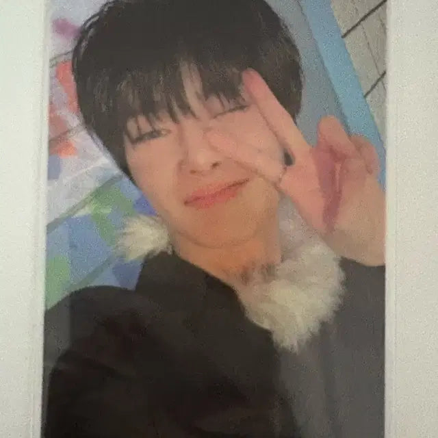 스트레이키즈 아이엔 포카