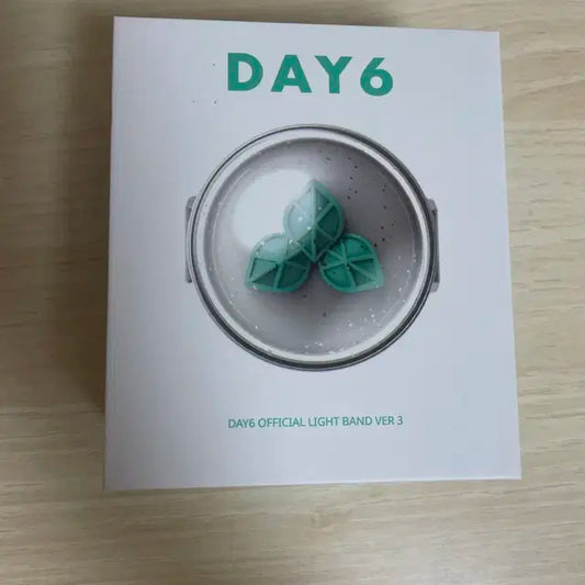 DAY6 공식 응원봉 Ver.3