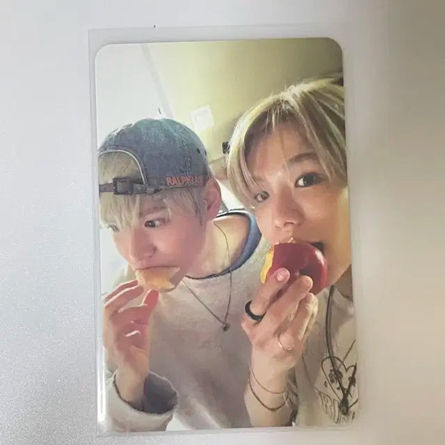 라이즈 오디세이 쇼타로 은석 달돌즈 유닛포카 포카 양도