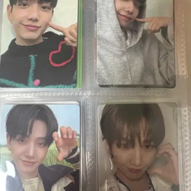 보이넥스트도어포카판매