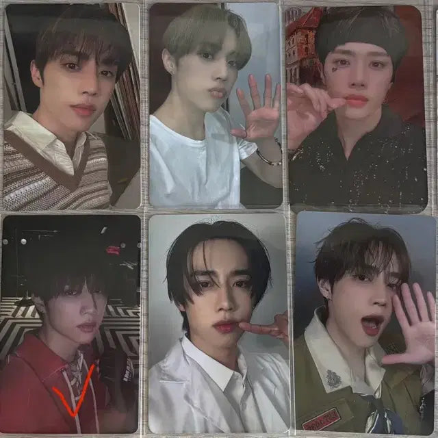 더보이즈 선우 포카 양도