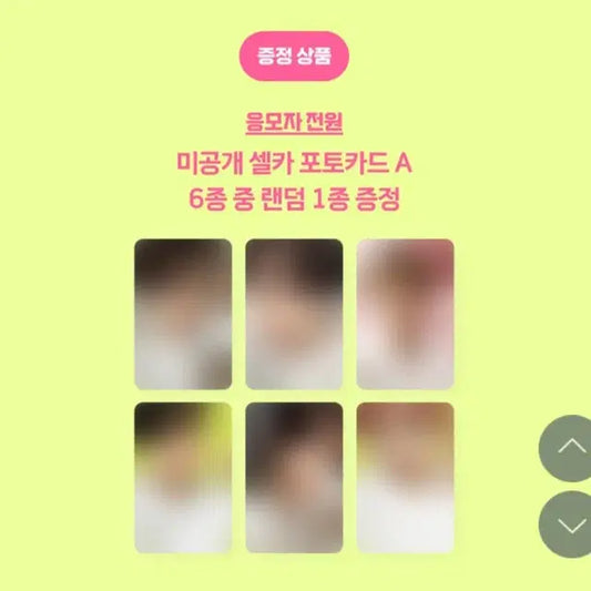 엔시티위시 분철 엔위시 컬러 슴스 쇼케이스 비공굿인형나눔양도유우시리쿠사쿠