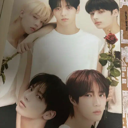 투바투 앨범